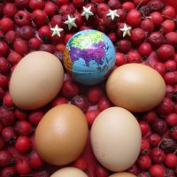 Космонавты тоже отмечают 8 октября Всемирный день яиц! :: Alex Aro Aro Алексей Арошенко