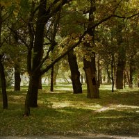 Осень в парке. :: barsuk lesnoi