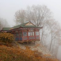 Осенний туман :: Nina Karyuk