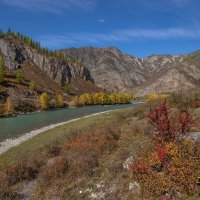 Чуя-река :: Виктор Четошников