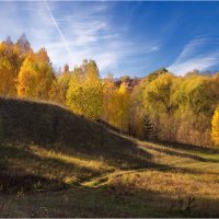 "Мягкая золотая осень"© :: Владимир Макаров