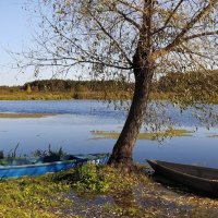 Осень на реке :: Надежда Буранова 
