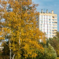 Воронцовский сквер :: Роман Алексеев