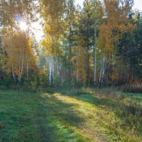 Осенее утро. :: Алексей Трухин