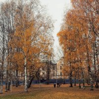 Осенний парк :: Сергей Кочнев