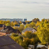 Буйство красок осени. :: Петр Беляков