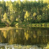 Башкирия, река Белая :: Горкун Ольга Николаевна 
