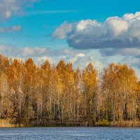 осень на озере :: Александр Есликов