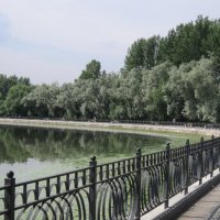 Головинский пруд в июле :: Дмитрий Никитин