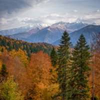 Осень в горах Адыгеи :: Сергей Сабешкин