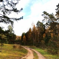 Дорога в Осень :: Евгения Куприянова