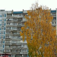 Осень в городе. :: Михаил Столяров