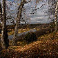 Финальные краски Осени. :: Сергей Мартьяхин