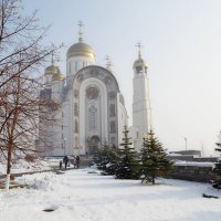 По утру, по первому снегу :: Владимир Рыбак