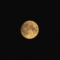 Луна-спутник Земли :: Aнна Зарубина