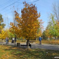 Солнечная осень :: Нина Бутко