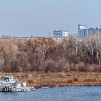 Западный Казахстан, Уральск, октябрь 2021, примерка осени к зиме :: Александр Облещенко