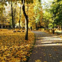 Осенний сад. :: Милешкин Владимир Алексеевич 