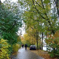 Осень, дождь :: Вера Щукина