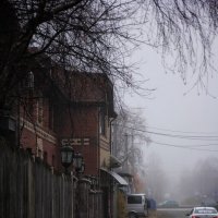 Туман в городе :: Елена 