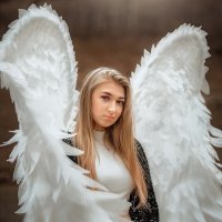 Белый ангел :: Елена Моисеева