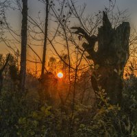 Закат на болотах :: Сергей Цветков