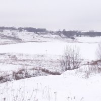 Замерзшее озеро у деревни :: Дмитрий Морозов 