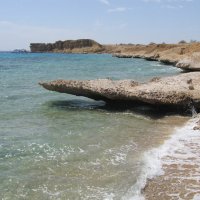 Красное море, Египет :: Елена Шаламова