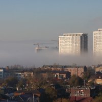 Утренний донской туман :: Леонид 