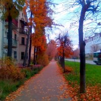 Осень в городе :: Игорь Чуев