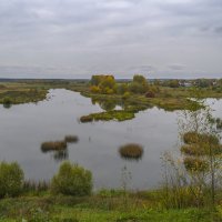 Река Теза осенью :: Сергей Цветков