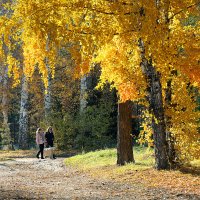 Осень в парке :: Дмитрий Конев