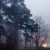 Утренний Туман :: Михаил 