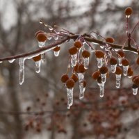 Осенний дождь :: Роман Пацкевич