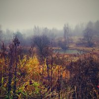 Осень, ноябрь :: Наталья Лакомова