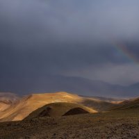 Немного солнца :: Виктор Четошников