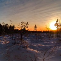 Ноябрьский закат! :: Оксана Галлямова