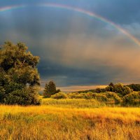 Rainbow :: Elena Wymann