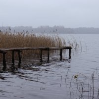 на озере :: Иван Скрипкин