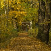 Осень в парке :: Lada Kozlova