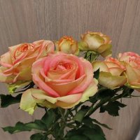 Розы :: Liliya Kharlamova