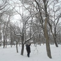 Зимняя прогулка :: Алла Кузнецова
