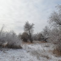 Зима в ноябре.... :: Георгиевич 