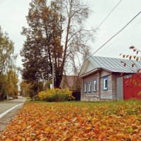 Осень в Нерехте :: Наталья Шабалина 