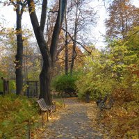 В Аптекарском огороде :: Маргарита Батырева