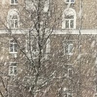 С первым снегом! :: Татьяна Юрасова