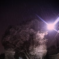 С первым снегом... :: leff Postnov