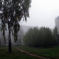 Туман. :: Владимир Драгунский