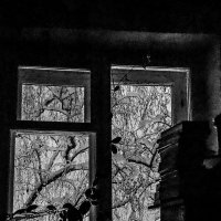 Снегопад за окном :: Микто (Mikto) Михаил Носков