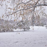 Ноябрьский снег :: Nina Karyuk